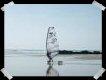 Speed Sail